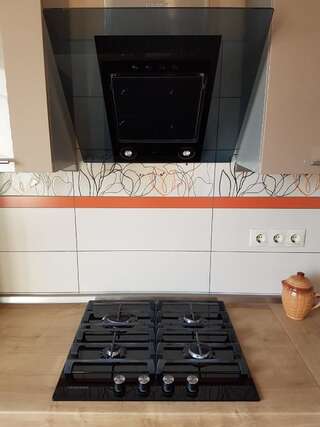 Апартаменты Rising Sun Apartment Минск Апартаменты с 1 спальней-8